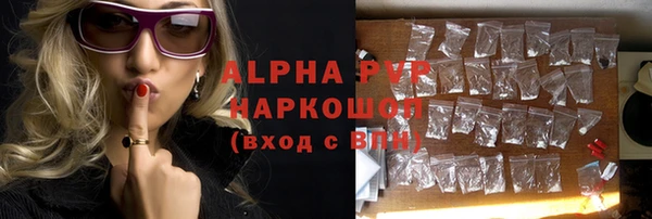 стаф Дмитров