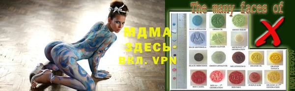 стаф Дмитров