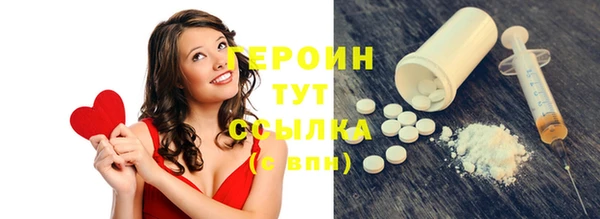 стаф Дмитров