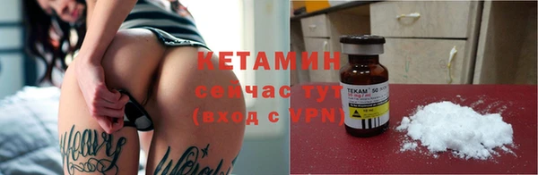 стаф Дмитров