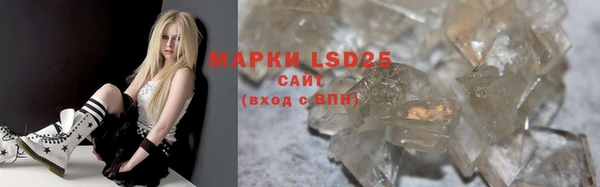 стаф Дмитров