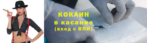 стаф Дмитров