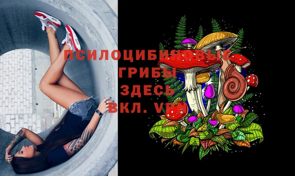 бошки Дмитриев