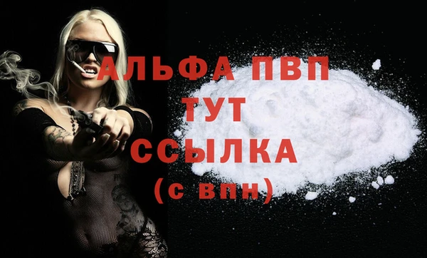 стаф Дмитров