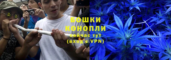 бошки Дмитриев