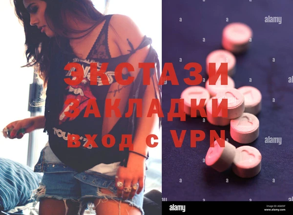 стаф Дмитров