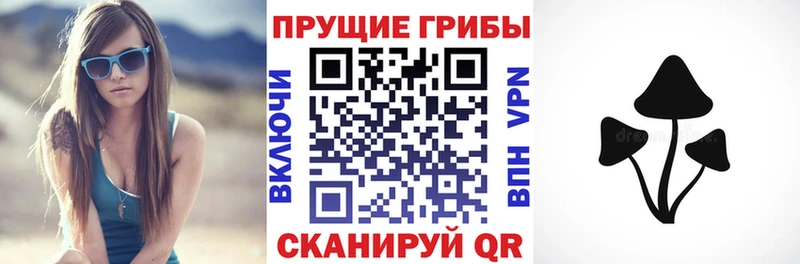 Купить  Истра  Псилоцибиновые грибы Psilocybe 